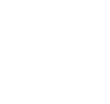 Rising Leaders Fellowship